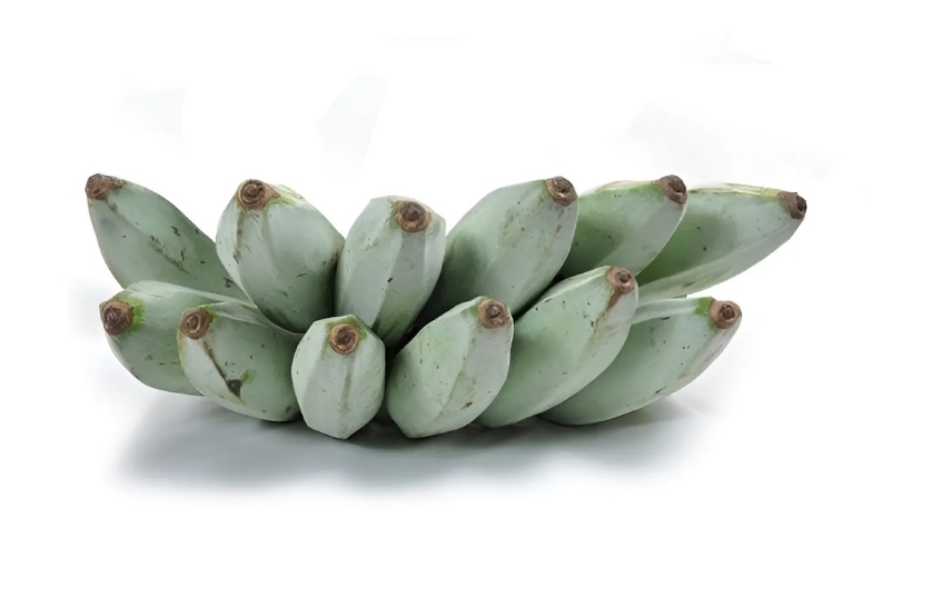 ASH PLANTAIN
