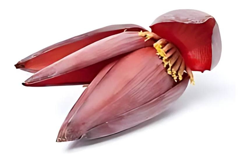 BANANA FLOWER