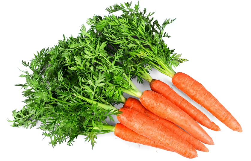 CARROT