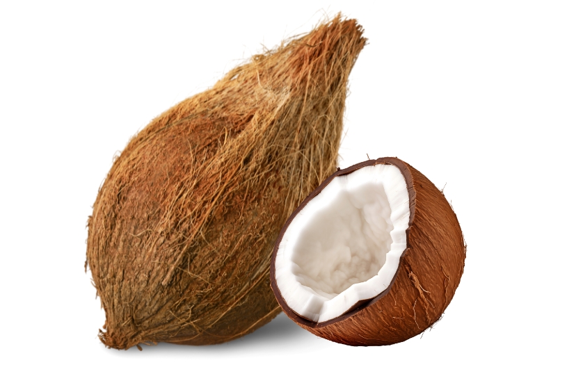 COCONUT