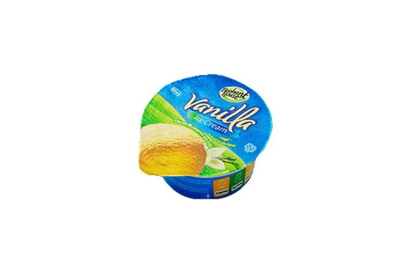 ELEPHANT HOUSE ICE CREAM 80ML