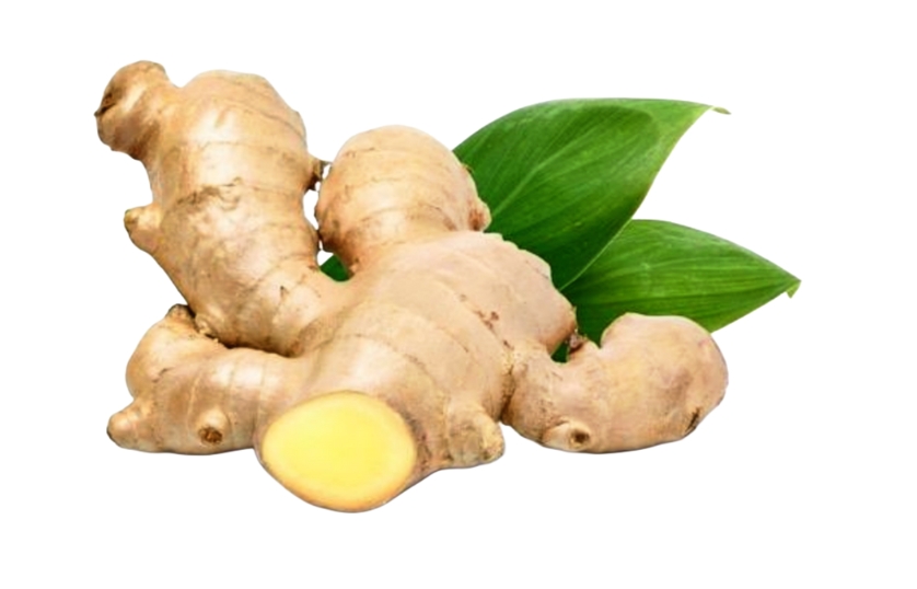 GINGER