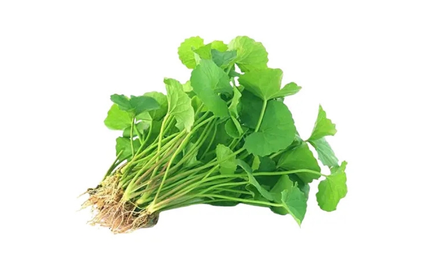 GOTUKOLA