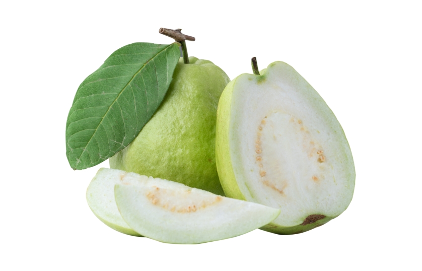 GUAVA