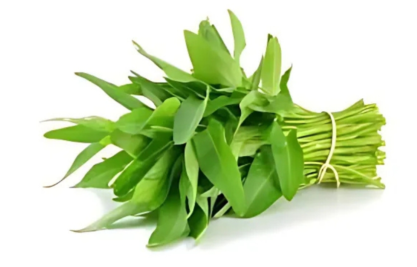 KANKUNG