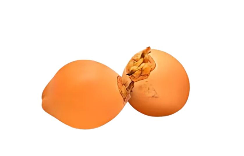KING COCONUT