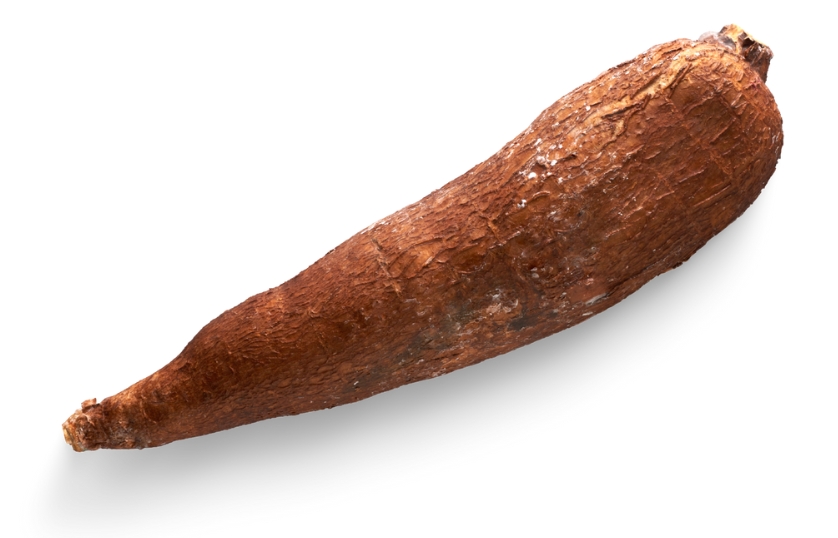MANIOC