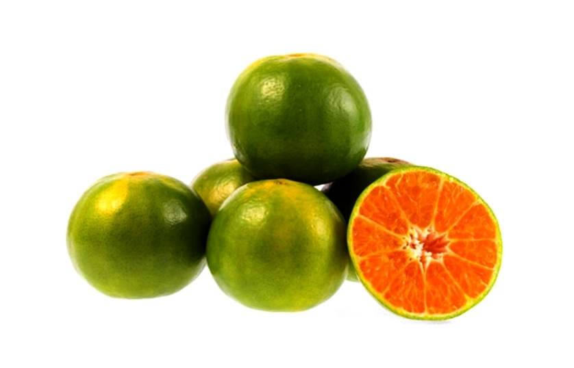NARANG ORANGE