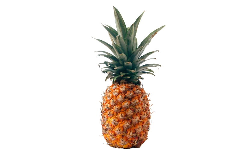 PINEAPPLE LARGE
