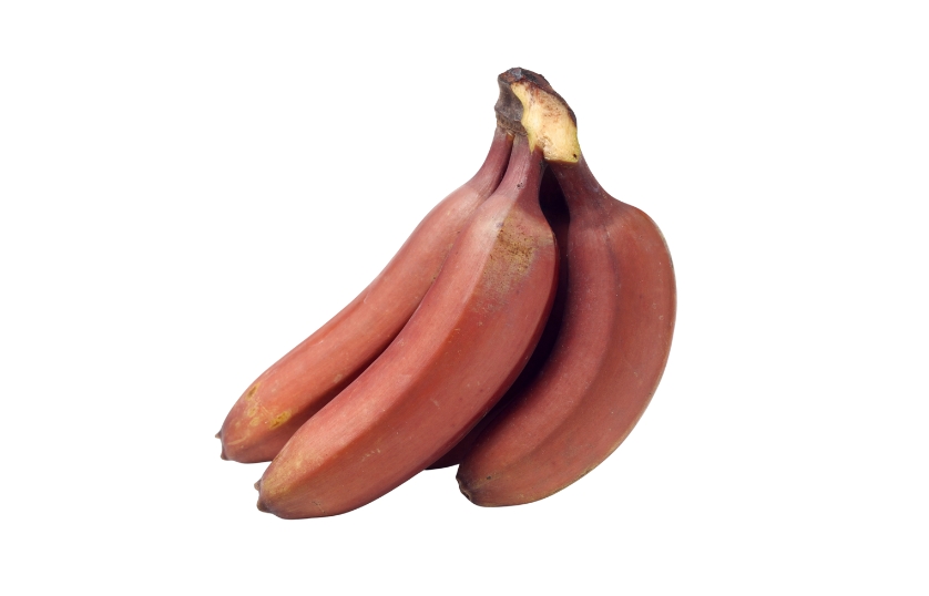 RED BANANA