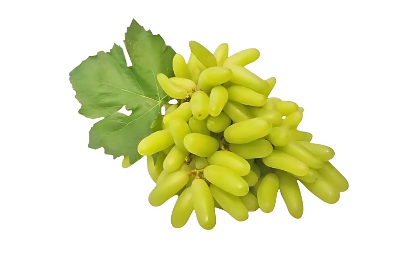 SEEDLESS SONAKA GRAPES