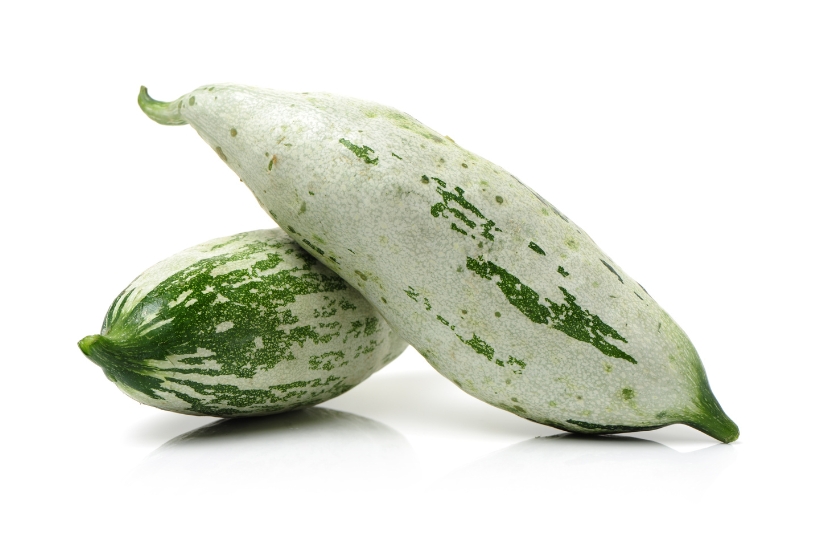 SNAKE GOURD