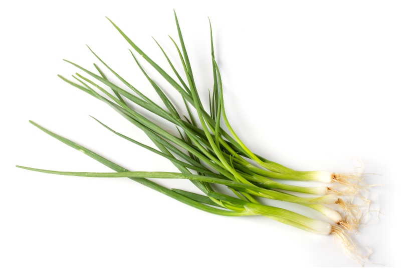 SPRING ONION