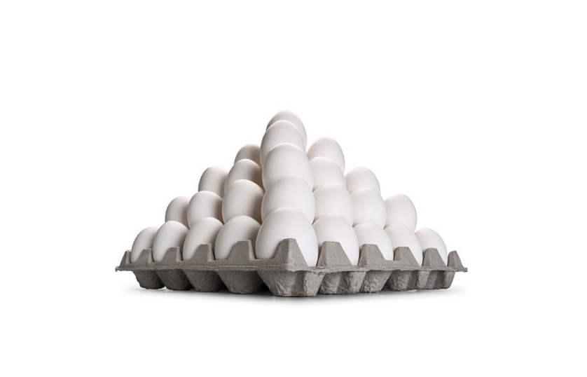 WHITE EGG