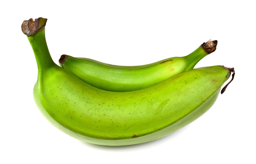  PLANTAIN FLOWER